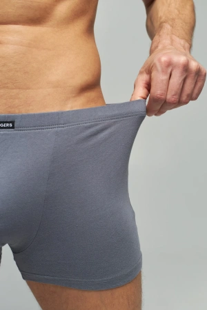 Трусы мужские боксеры Rogers 595E хлопок 100% размеры M, L, XL, 2XL