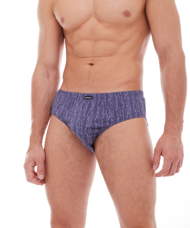 Трусы мужские слипы Rogers 8182 хлопок размеры M, L, XL, 2XL, 3XL, 4XL, 5XL