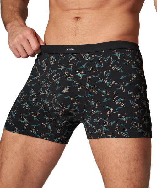 Трусы мужские боксеры Rogers 8991 хлопок, эластан размеры 3XL, 4XL, 5XL