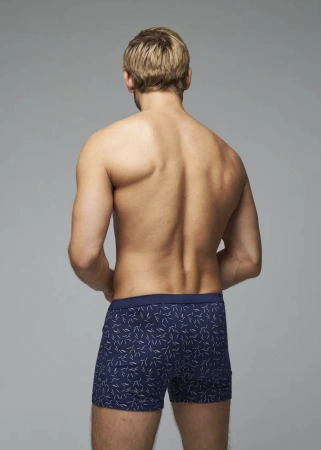 Трусы мужские боксеры Rogers 8642 модал, эластан размеры 3XL, 4XL, 5XL