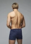Трусы мужские боксеры Rogers 8642 модал, эластан размеры 3XL, 4XL, 5XL