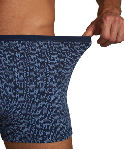 Трусы мужские боксеры Rogers 8994 хлопок, эластан размеры 3XL, 4XL, 5XL