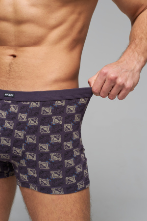 Трусы мужские боксеры Rogers 80239 хлопок, эластан размеры M, L, XL, 2XL