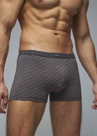 Трусы мужские боксеры Rogers 83147 модал, эластан размеры M, L, XL, 2XL