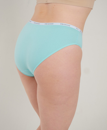 Трусы женские слипы Vanessa 6804-03 хлопок, эластан цветные размеры 2XL, 3XL, 4XL