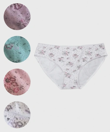 Трусы женские слипы Vanessa 6802-49 (без вешалок) хлопок, эластан размеры L, XL, 2XL, 3XL