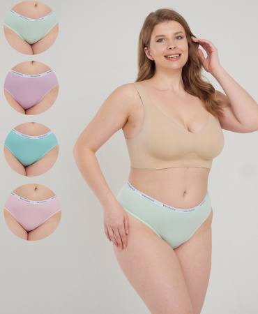 Трусы женские слипы Vanessa 6804-03 хлопок, эластан цветные размеры 2XL, 3XL, 4XL