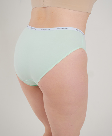 Трусы женские слипы Vanessa 6804-03 хлопок, эластан цветные размеры 2XL, 3XL, 4XL