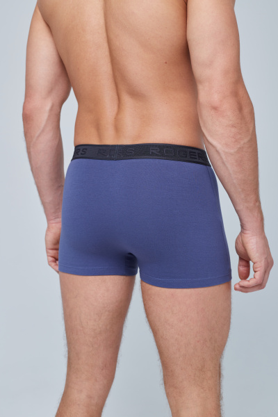 Трусы мужские боксеры Rogers 80378 хлопок, эластан разноцветный размеры M, L, XL, 2XL, 3XL, 4XL, 5XL, 6XL