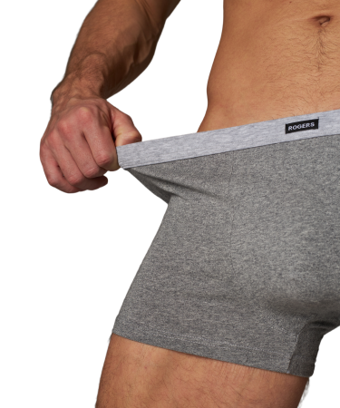 Трусы мужские боксеры Rogers 80376 хлопок, эластан размеры M, L, XL, 2XL, 4XL, 6XL