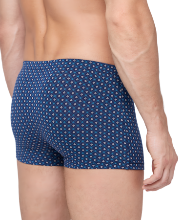 Трусы мужские боксеры Rogers 8714 хлопок, эластан размеры M, L, XL, 2XL, 4XL, 6XL