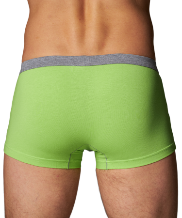 Трусы мужские боксеры Rogers 80370 хлопок, эластан размеры M, L, XL, 2XL