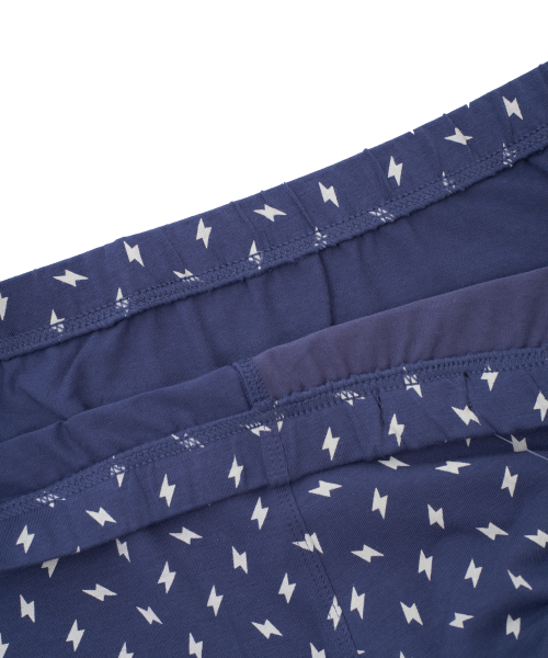 Трусы мужские боксеры Rogers 8996 хлопок, эластан размеры 3XL, 4XL, 5XL