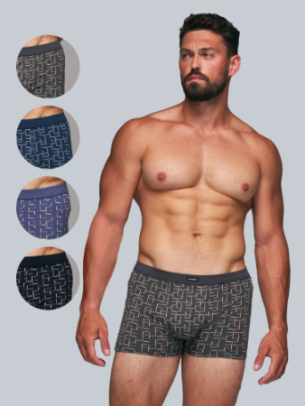 Трусы мужские боксеры Rogers 8986 хлопок, эластан размеры 3XL, 4XL, 5XL