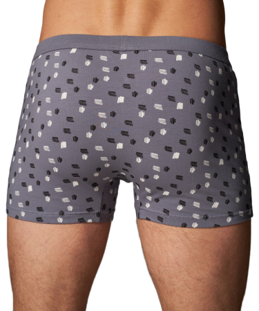 Трусы мужские боксеры Rogers 8992 хлопок, эластан размеры 3XL, 4XL, 5XL