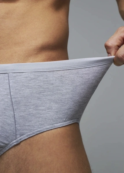 Трусы мужские cлипы Rogers 84140 модал, эластан размеры M, L, XL, 2XL