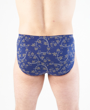 Трусы мужские слипы Rogers 84126 модал, эластан размеры M, L, XL, 2XL