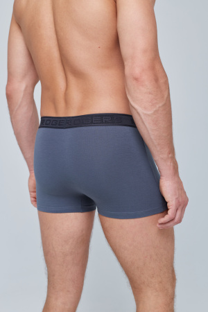 Трусы мужские боксеры Rogers 8976 хлопок, эластан размеры 3XL, 4XL, 5XL