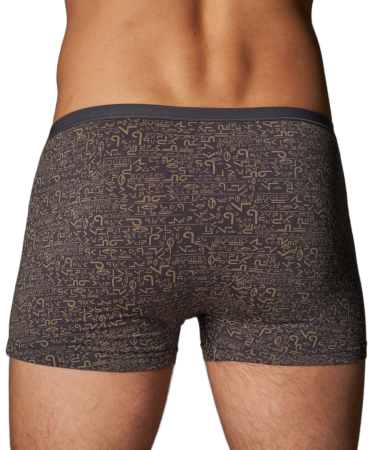 Трусы мужские боксеры Rogers 8325 модал, эластан размеры M, L, XL, 2XL, 3XL, 4XL, 5XL